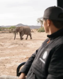Guest observing an elephant from a safari vehicle near Damaraland Camp