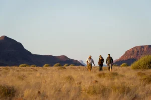 Guests walking through the Damaraland landscape with a guide