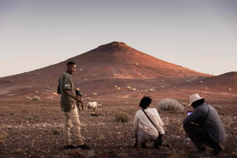 Guests with a rhino monitor observing a rhino from a distance
