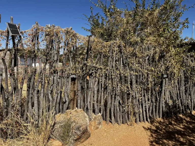 Rustic wooden fence among boulders at Hoada Campsite