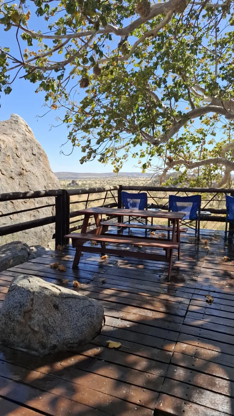 Rustic viewing deck beneath trees at Hoada