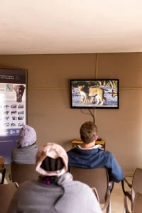Guests watching a wildlife research presentation at Hoanib Skeleton Coast Camp