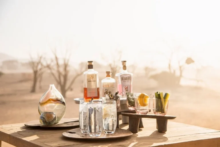 Gin selection overlooking the desert at Little Kulala