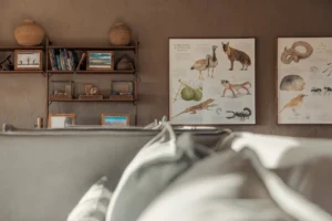 Books and wildlife illustrations in the Little Kulala lounge