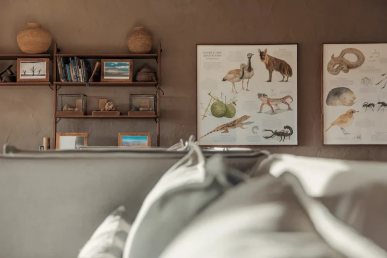 Books and wildlife illustrations in the Little Kulala lounge
