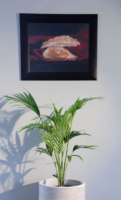 Plant and framed coastal photograph inside Oyster Box Guesthouse